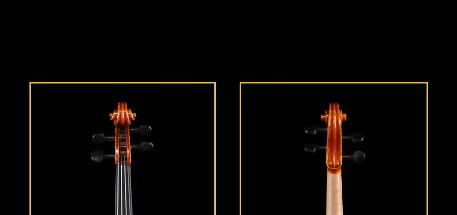 Brazilwood octagonal bow professional violin wholesale set