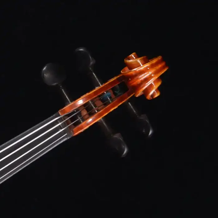 imported tonewood back professional violin wholesale rear view