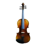 Professional violin wholesale set with European maple back and spruce top front view