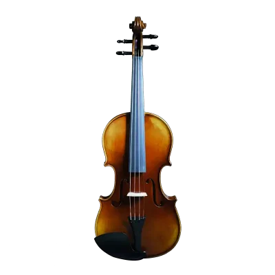 Professional violin wholesale set with European maple back and spruce top front view