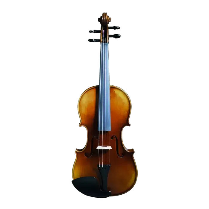Professional violin wholesale set with European maple back and spruce top front view
