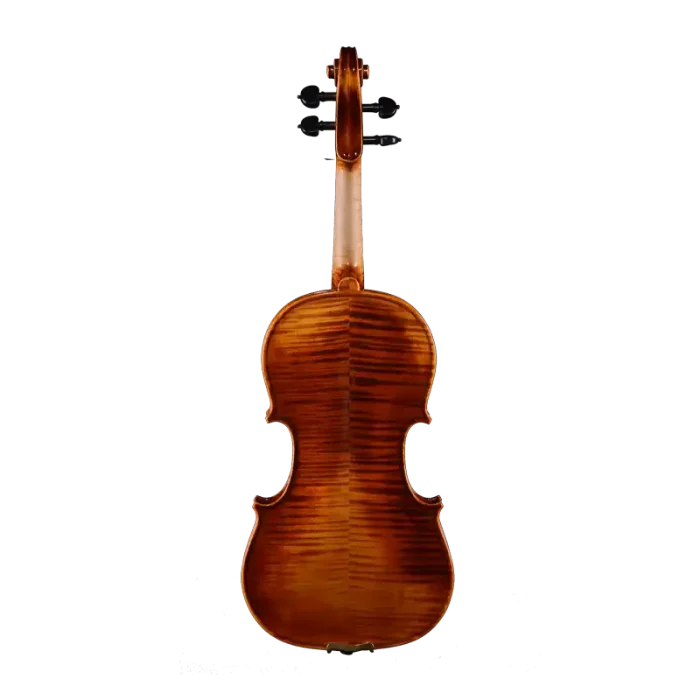 european maple back view