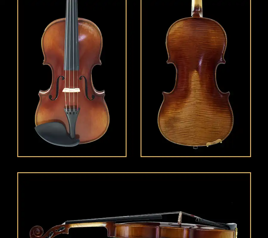 full outfit layout professional violin wholesale violin bow carbon fiber case