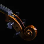 European maple back and sides professional violin wholesale detail