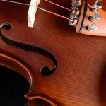 school program violin supply lv06 set with case and bow