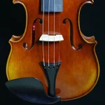 Carbon fiber violin case premium protection for factory direct wholesale shipping
