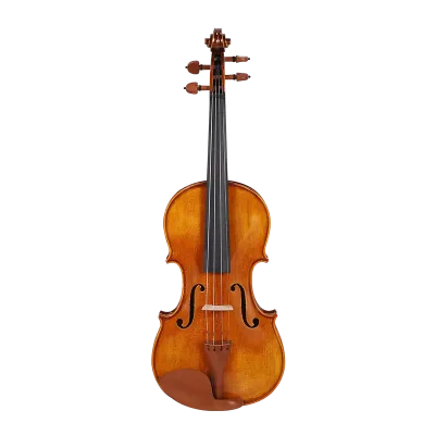 intermediate violin outfit wholesale lv33 front view spruce top