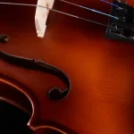 beginner violin bulk order lv05 bridge and fingerboard detail close-up