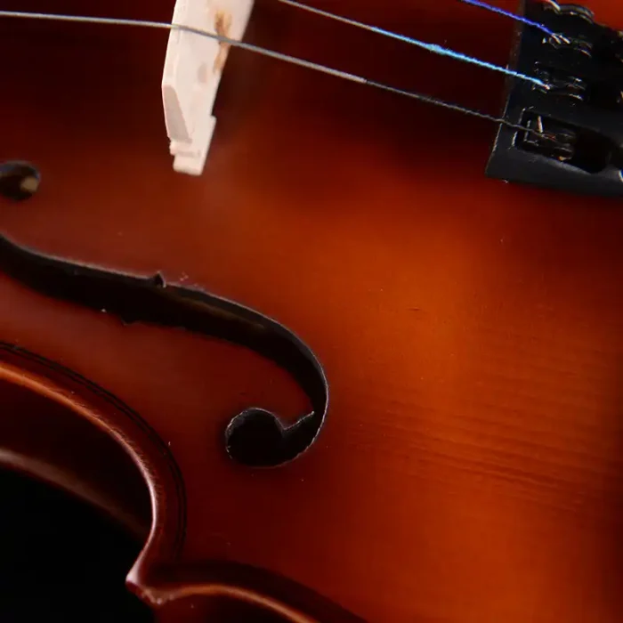 beginner violin bulk order lv05 bridge and fingerboard detail close-up