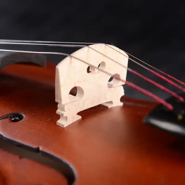 retail ready violin outfit packaging lv07 shelf display view