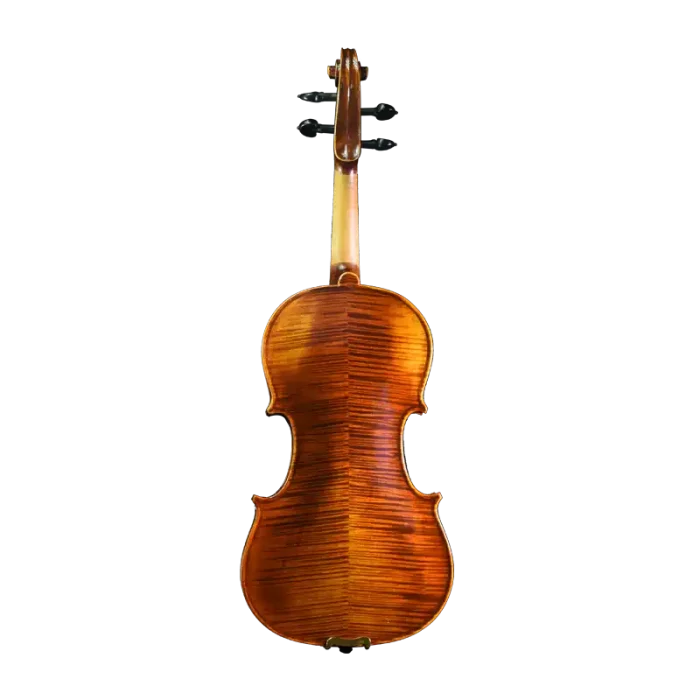 professional violin wholesale European maple back view