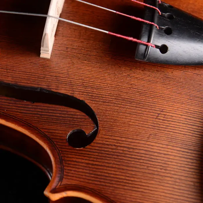 intermediate violin bridge and strings setup detail close-up