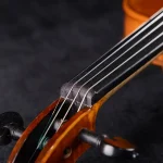 imported strings professional violin wholesale close up