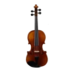 professional violin wholesale outfit front view spruce top