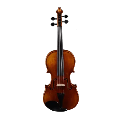professional violin wholesale outfit front view spruce top