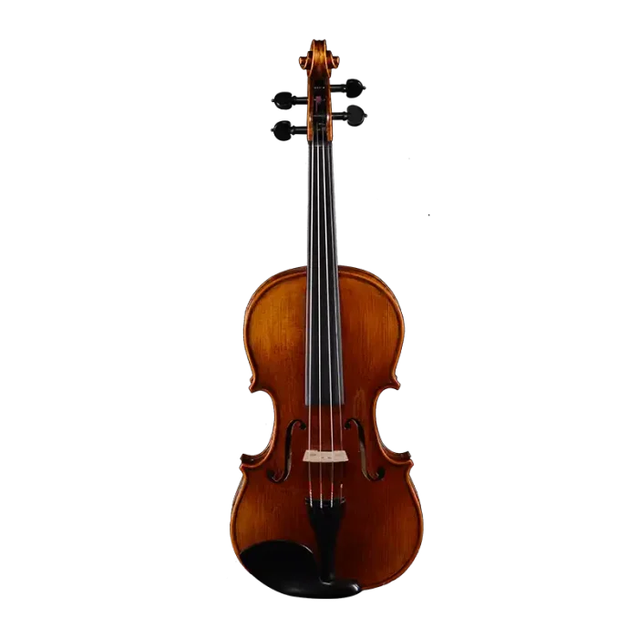 professional violin wholesale outfit front view spruce top