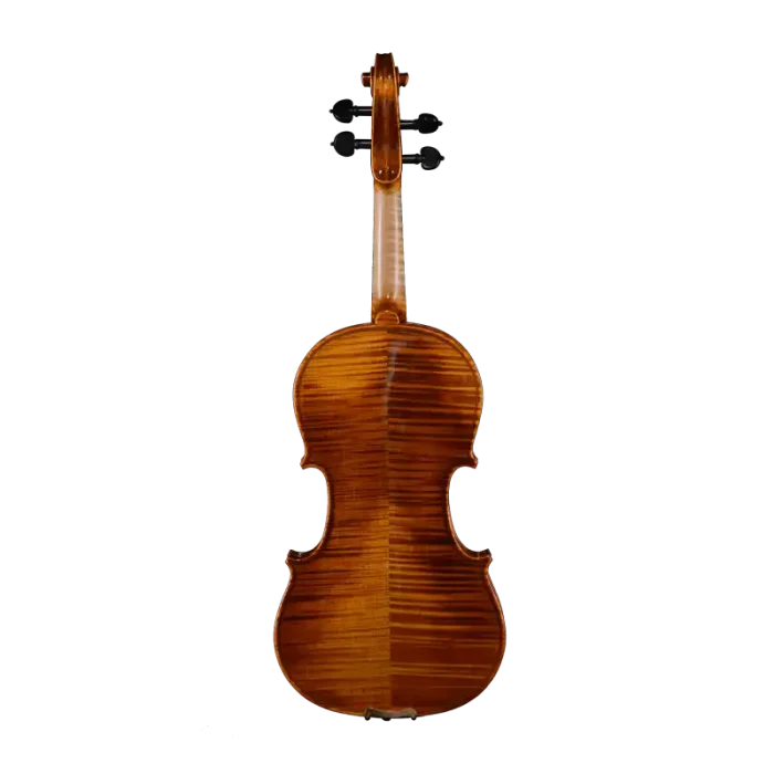 professional violin wholesale European maple back view
