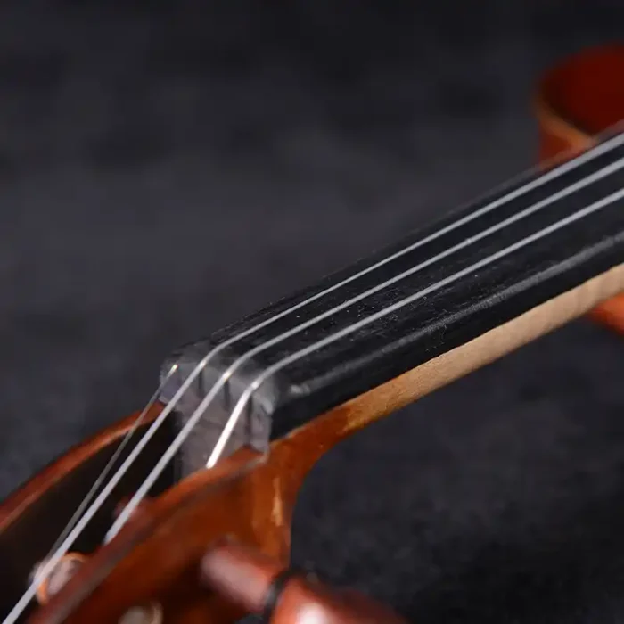 intermediate violin outfit wholesale lv22 flamed maple figure close-up