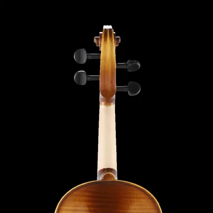 student violin outfit wholesale lv08 back view hand-painted flame figure