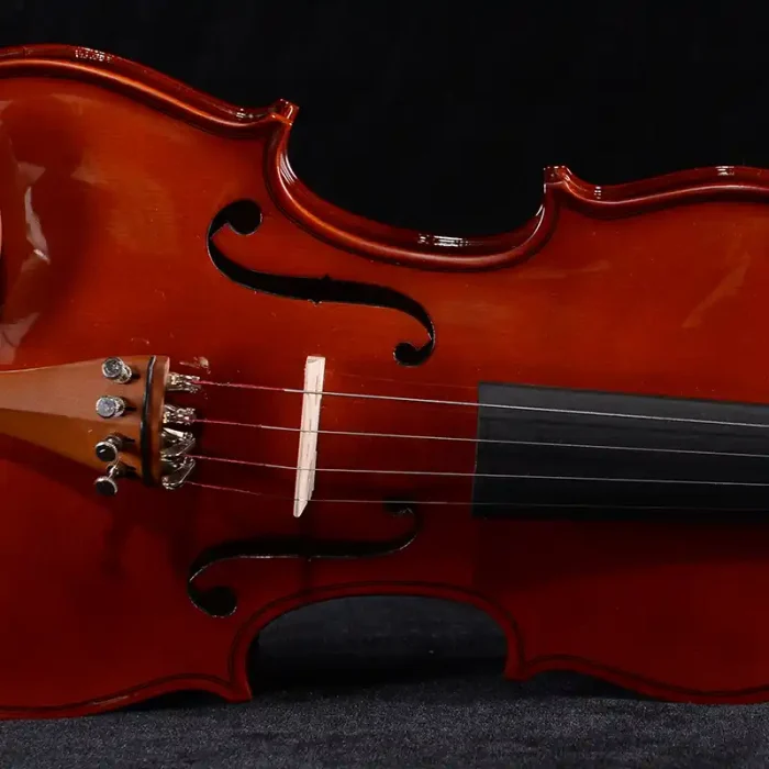 factory direct violin supplier lv03 student set with case and bow