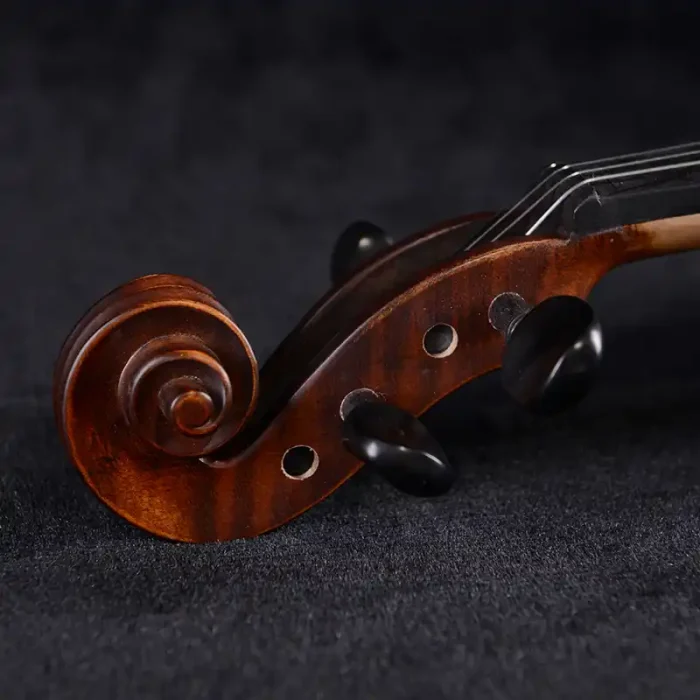 ebony fingerboard detail showing clean playing surface