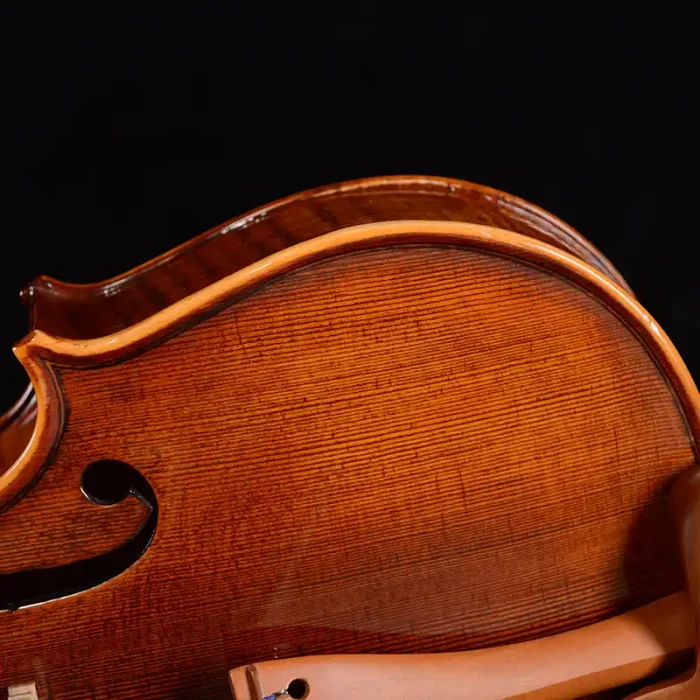intermediate violin outfit wholesale lv21 jujube pegs pegbox close-up