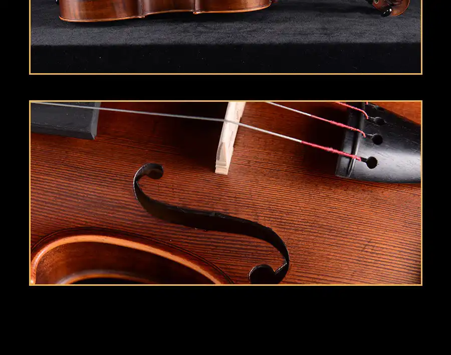 violin f-holes and top arching detail for product listing