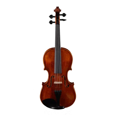 ebony fittings intermediate violin wholesale lv35 front view spruce top