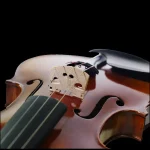 octagonal pernambuco bow professional violin wholesale set detail