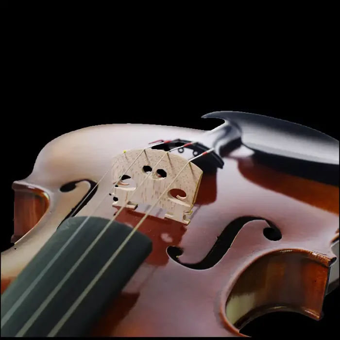 octagonal pernambuco bow professional violin wholesale set detail
