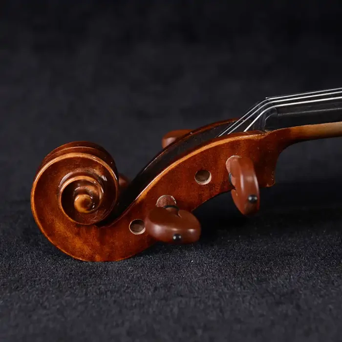 intermediate violin outfit wholesale lv21 flamed maple figure close-up