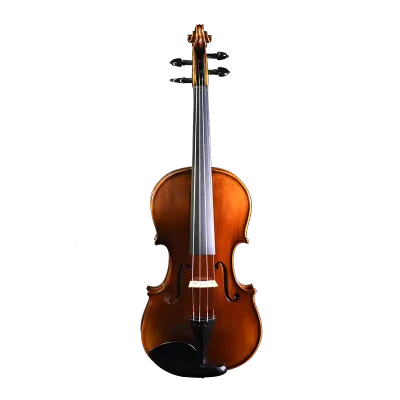 professional violin wholesale front view spruce top