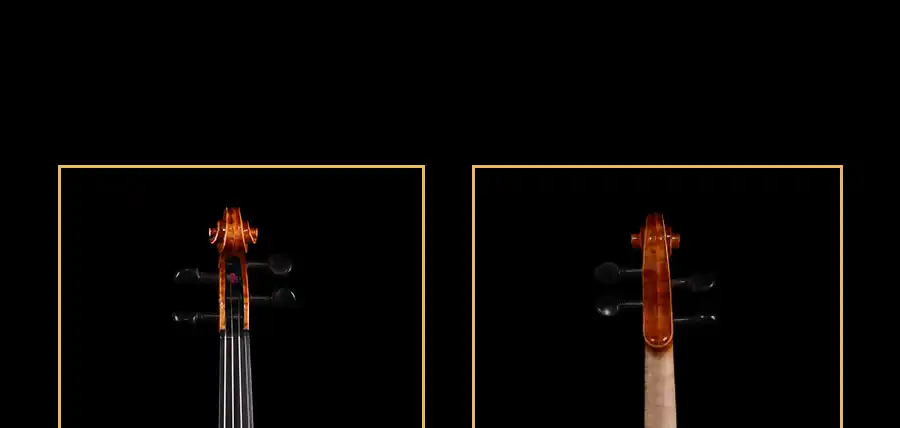 MV850 premium bow with professional violin wholesale set