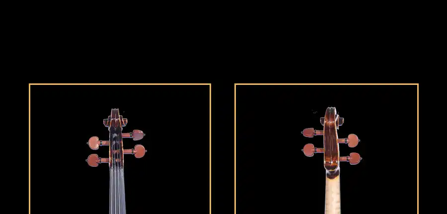 MV780 brazilwood bow included in wholesale violin outfit