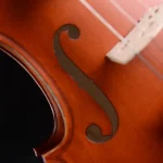 fast moving beginner violin set lv07 with case and bow