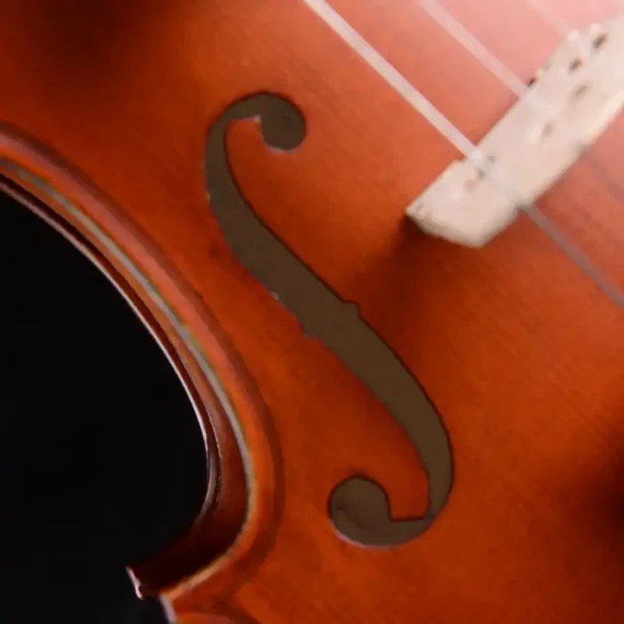 fast moving beginner violin set lv07 with case and bow