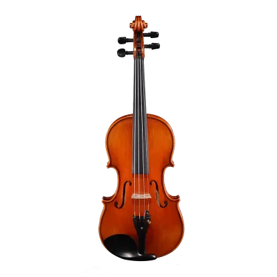 professional violin wholesale flagship outfit front view