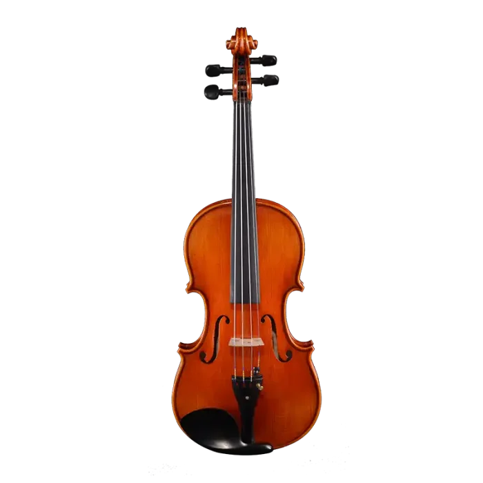 professional violin wholesale flagship outfit front view