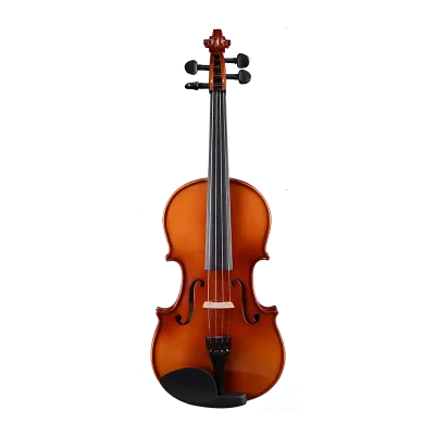 4/4 beginner student violin model lv02 for importer front view