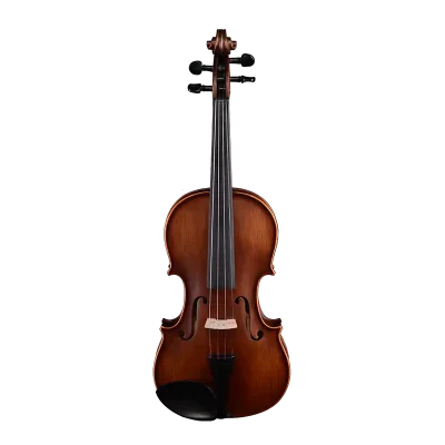 intermediate violin outfit wholesale front view with spruce top