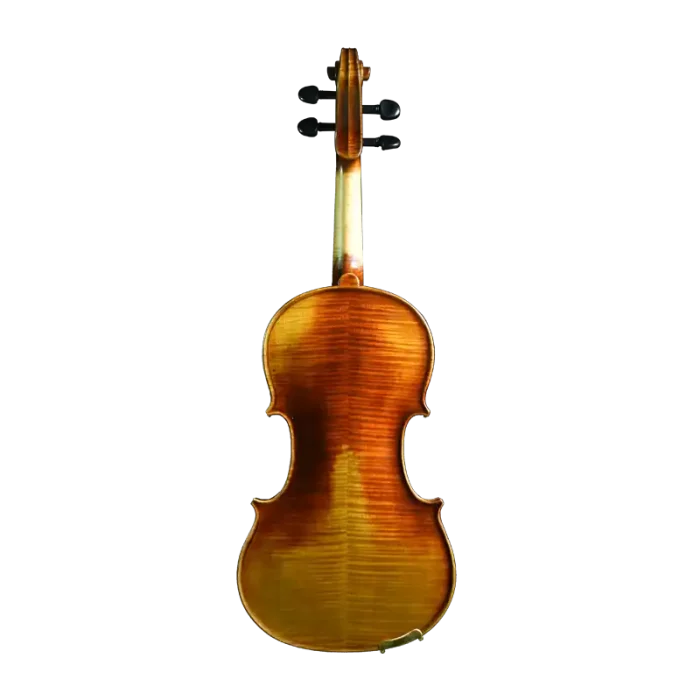 Professional concert violin with imported ebony fittings close-up of pegs and fingerboard