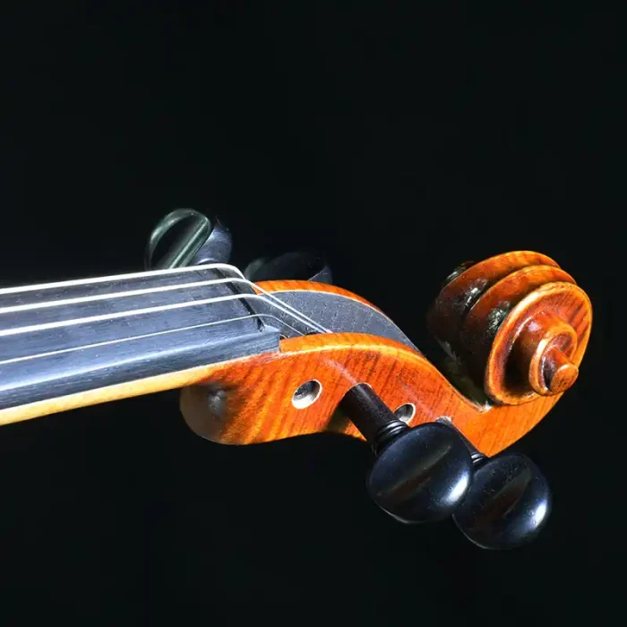 European maple violin back view showing refined grain for stage-ready presentation