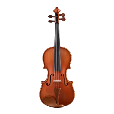 LV11 wholesale intermediate violin outfit front view for factory direct B2B step-up violin supply