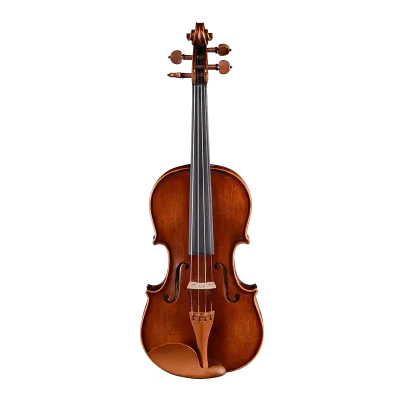 LV21 wholesale intermediate violin outfit front view with A-grade bridge for factory direct B2B step-up supply