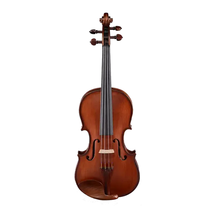 LV22 wholesale intermediate violin outfit front view with chickenwing wood fittings and A-grade bridge for factory direct B2B supply