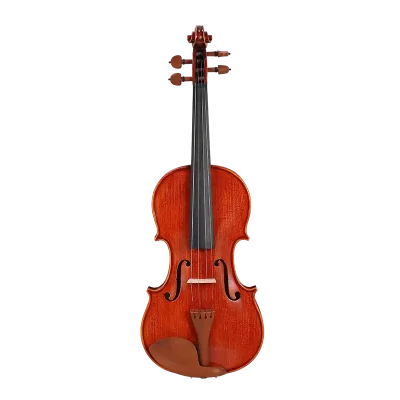 LV31 wholesale intermediate violin outfit front view with slightly flamed maple neck for factory direct B2B supply