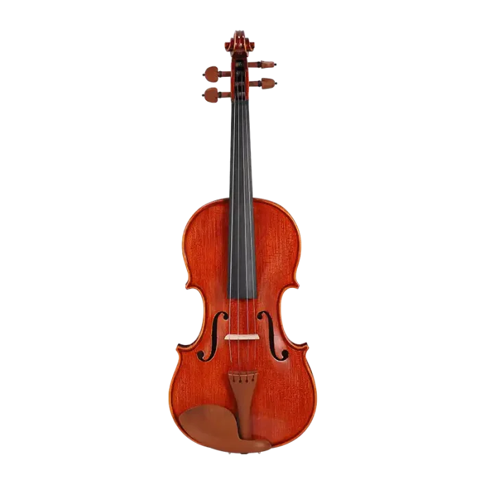 LV31 wholesale intermediate violin outfit front view with slightly flamed maple neck for factory direct B2B supply