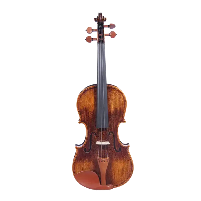 LV32 wholesale intermediate violin outfit front view with natural corduroy grain effect for factory direct B2B supply