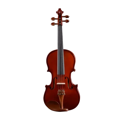 LV03 wholesale student violin outfit front view with jujube fittings for music schools, dealers, and bulk B2B orders