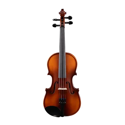 LV05 wholesale student violin outfit front view with ebony fingerboard and fittings for bulk B2B orders